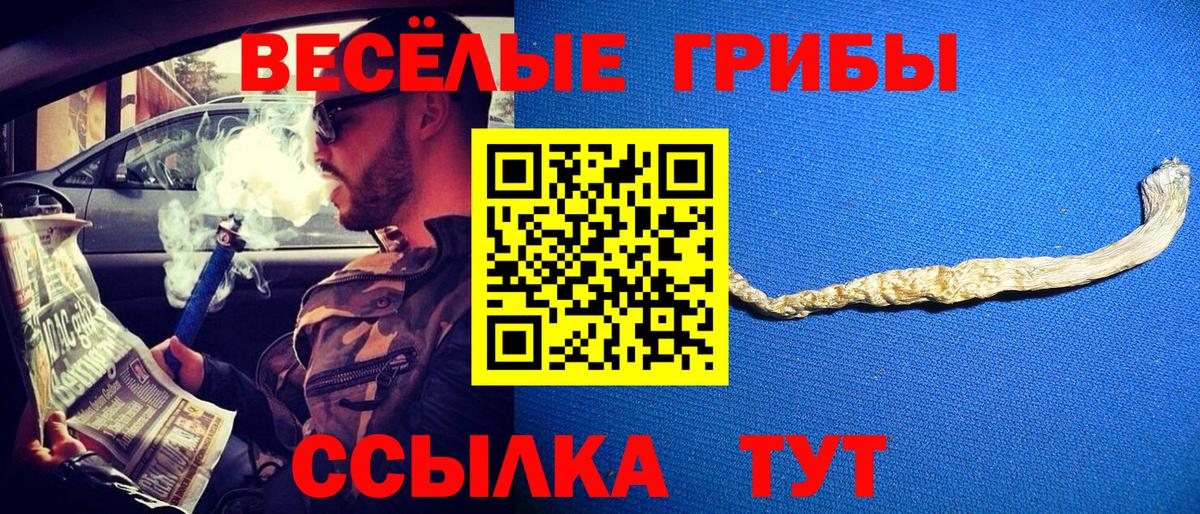 Псилоцибиновые грибы GOLDEN TEACHER  Вход с VPN  Минеральные Воды 