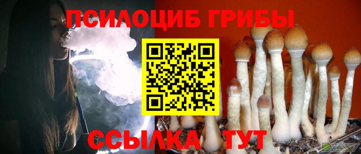 Галлюциногенные грибы Psilocybe Минеральные Воды